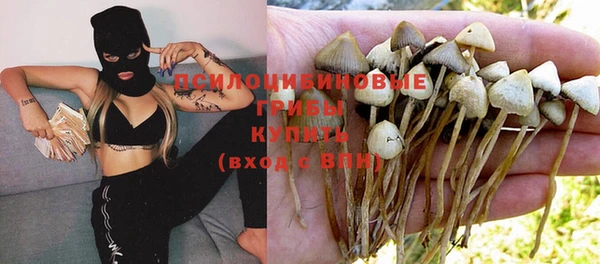тгк Аркадак