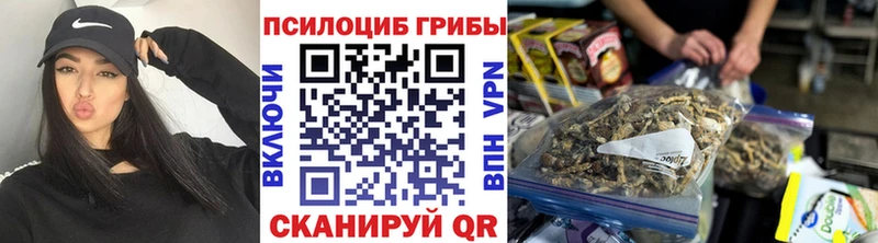 Псилоцибиновые грибы мицелий  Михайлов 